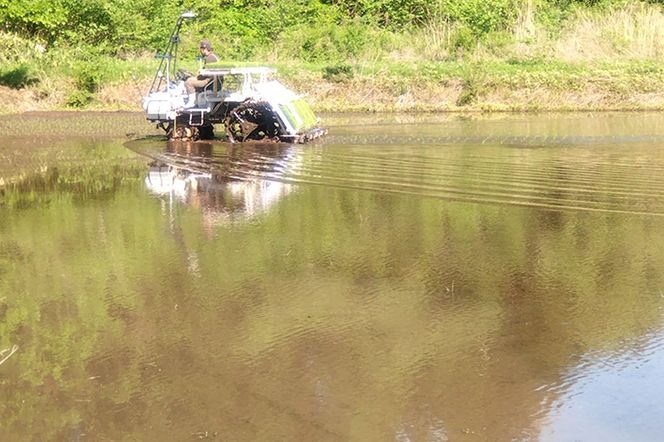 《令和7年産》あきたこまち 精米 5kg 秋田県 男鹿市産 吉元耕業 おにぎり お弁当|23_ymk-010101