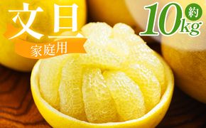 文旦 10kg 家庭用 混合（L〜2Lサイズ） 文旦 高知 訳あり ぶんたん ブンタン わけあり 10キロ 果物 柑橘 フルーツ 香南市産 高知県 nm-0002