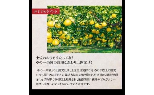 【全3回定期便】土佐市まるごと定期コース〈ハヤシの花ダブル30ロール・土佐文旦3kg・生カツオ藁焼きタタキ3～5人前〉トイレットペーパー 土佐和紙 ぶんたん フルーツ 鰹 かつお たたき 高知県 土佐市【土佐市】[BQCD012]