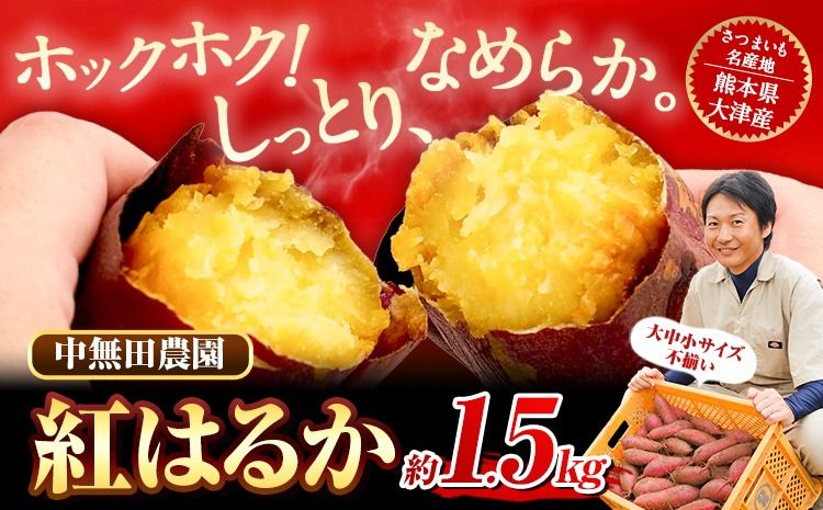 熊本県大津町産 中無田農園の紅はるか 約1.5kg (大中小サイズ不揃い) 熊本県大津町 [12月上旬-12月末頃出荷(土日祝除く)] さつまいも 芋 スイートポテト 干し芋にも 名産地 特産品 秋 旬---fn_nkmtben_ac12_24_4000_1500g---