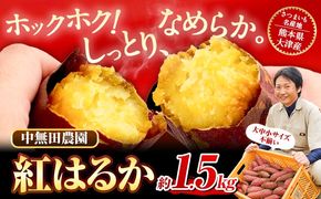 熊本県大津町産 中無田農園の紅はるか 約1.5kg (大中小サイズ不揃い) 熊本県大津町 《12月上旬-12月末頃出荷(土日祝除く)》 さつまいも 芋 スイートポテト 干し芋にも 名産地 特産品 秋 旬---fn_nkmtben_ac12_24_4000_1500g---