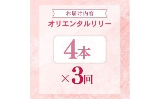 定期便3回 ユリ オリエンタルリリー 4本 花 切り花 プレゼント 贈り物 ギフト 誕生日 記念日 つぼみ 大輪 ピンク 白 香り 優雅 華麗 ブーケ フラワーアレンジメント 観賞用 インテリア 季節の花 高級感 花束 生花 福田園芸 オリエンタルハイブリッド 安芸市 高知県