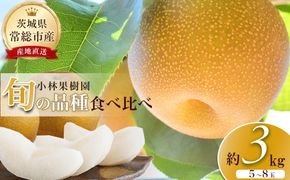 【先行予約】小林果樹園の梨 食べ比べ5～8玉  約3kg　※2026年9月～発送