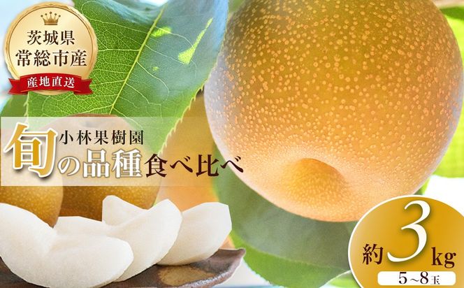 【先行予約】小林果樹園の梨 食べ比べ5～8玉  約3kg　※2026年9月～発送