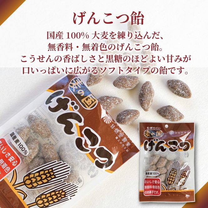 飴 げんこつ飴 10袋 あめ アメ おかし お菓子 おやつ 静岡県 藤枝市 甘信堂製菓