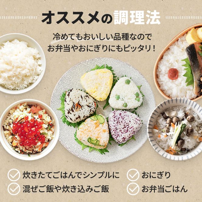 【数量限定】新米 和歌山県産 ひのひかり 5kg(2025年産) / 白米 新米 コメ 産地直送 米 こめ ご飯 ごはん ひのひかり おにぎり お弁当 【agy040】