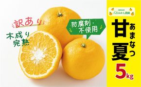 【 先行予約 】 訳あり 完熟 甘夏 5kg <発送期間：3月上旬～無くなり次第終了> 八百みかん農園 の 完熟 甘夏 7000円 家庭用 訳あり 先行 事前 予約 受付 みかん あまなつ 夏みかん グレープフルーツ マーマレード ゼリー 防腐剤不使用 愛媛 産地直送 国産 農家直送 糖度 果樹園 期間限定 数量限定 特産品 ジュース 人気 限定 愛南 さわやか 甘い フルーツ 果物 柑橘 蜜柑
