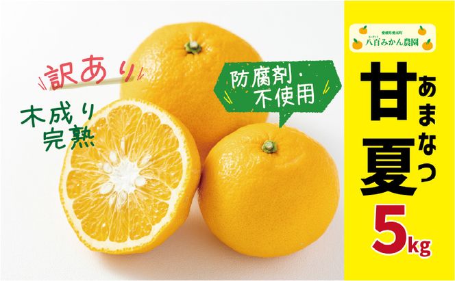 【 先行予約 】 訳あり 完熟 甘夏 5kg <発送期間：3月上旬～無くなり次第終了> 八百みかん農園 の 完熟 甘夏 7000円 家庭用 訳あり 先行 事前 予約 受付 みかん あまなつ 夏みかん グレープフルーツ マーマレード ゼリー 防腐剤不使用 愛媛 産地直送 国産 農家直送 糖度 果樹園 期間限定 数量限定 特産品 ジュース 人気 限定 愛南 さわやか 甘い フルーツ 果物 柑橘 蜜柑