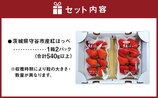 紅ほっぺ 1箱 2パック（合計540g以上） ※2026年1月下旬～4月下旬頃に順次発送予定 | いちご 苺 フルーツ 果物 くだもの 果実 完熟 冷蔵 守谷市産 茨城県 守谷市