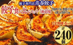 【定期便6ヶ月】餃子専門店青春餃子 餃子食べ比べセット 3種40個（青春餃子15個、豊岡餃子10個、大葉三太郎餃子15個）（計240個）