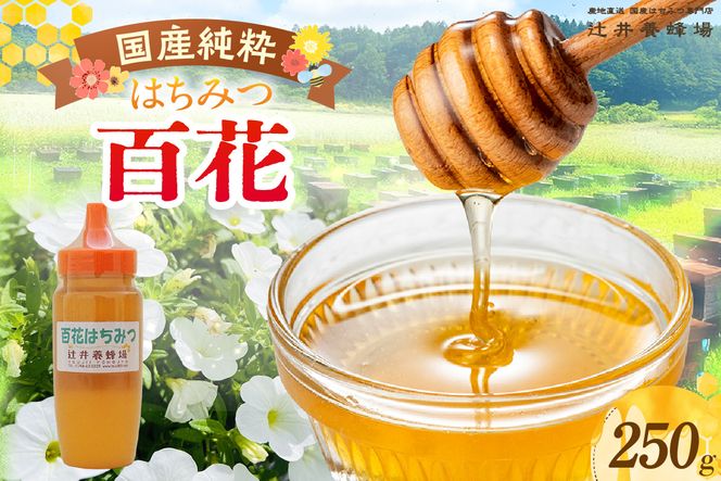 yɌzyY SԂ݂͂ 250g |ezY  S ݂͂ n`~c I g p [Og  Ɍ  ҈{I 81-02