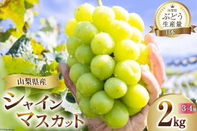 【ふるプレ限定品】 シャインマスカット 先行受付 約 2kg 3～4房 【2026年発送】 [OUTTA REACH JAPAN 山梨県 韮崎市 20742972] マスカット シャイン ぶどう ブドウ 葡萄 厳選 2キロ 産地直送 フルーツ 果物 種無し ふるさと納税