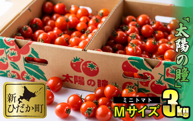 ＜ 9/15までの受付 ＞ 北海道産 ミニトマト 太陽の瞳 M サイズ 3kg 新ひだか町