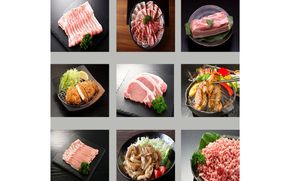 伊賀とよさ豚まるごと食べ尽くし cook0046