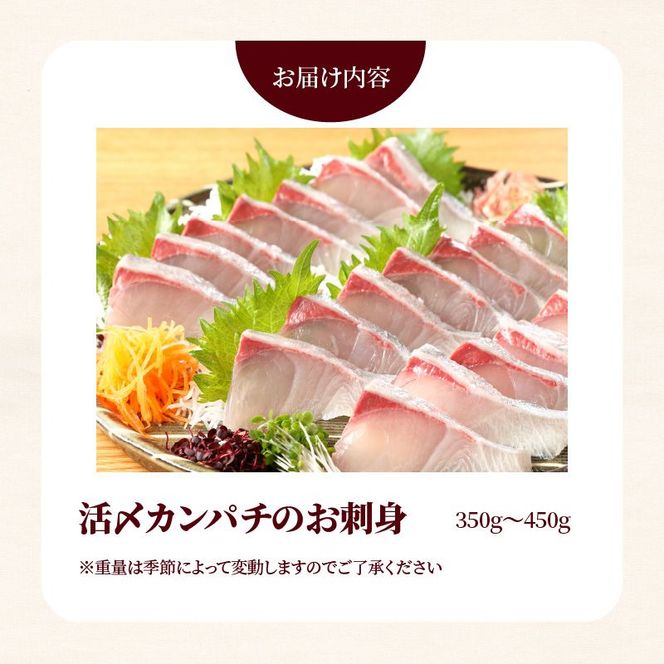 延岡産活〆カンパチのお刺身 N019-YA2258