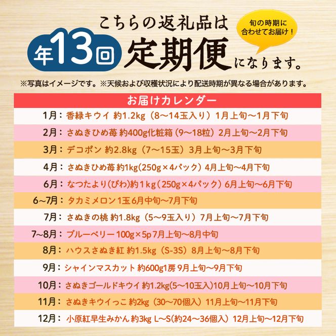 フルーツ定期便 果物 定期便 全13回 香川県産 国産 讃岐 香緑キウイ さぬきひめ苺 いちご デコポン びわ メロン 桃 ブルーベリー ぶどう シャインマスカット さぬきキウイっこ 小原紅早生みかん みかん くだもの 五色青果 香川県 東かがわ市