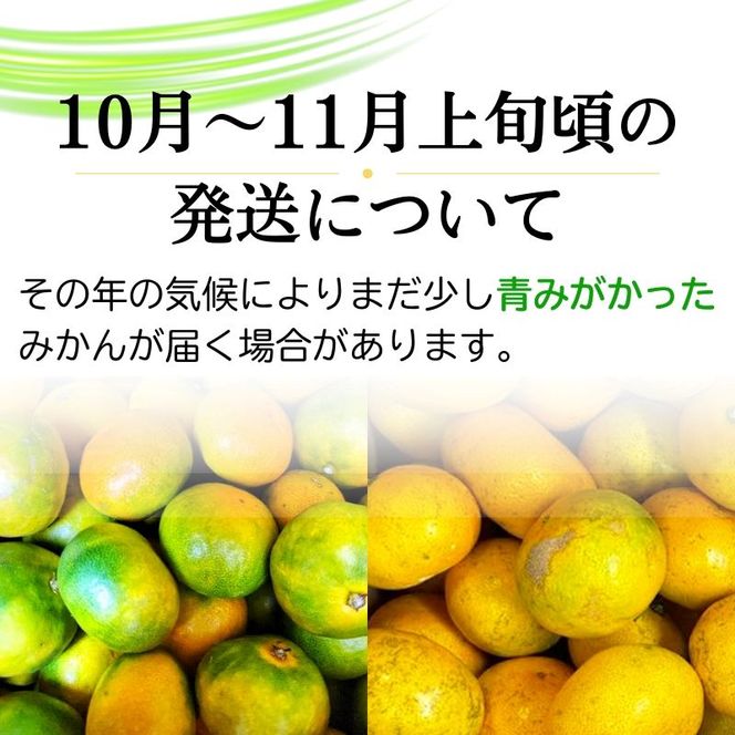 【2026年11月発送】＼光センサー選別／農家直送 こだわりの有田みかん 約6kg＋150g(傷み補償分) 【ご家庭用】 みかん ミカン 有田みかん 温州みかん 柑橘 有田 和歌山 ※北海道・沖縄・離島配送不可/みかん ミカン 有田みかん 温州みかん 柑橘 有田 和歌山 産地直送【nuk102-11B】