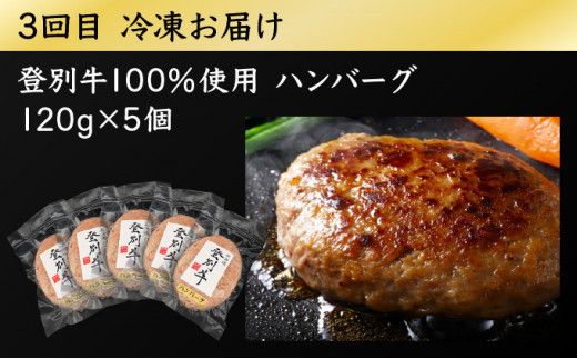 登別牛 堪能セット[定期便3回お届け]（サーロインステーキ、肩ロースすき焼き しゃぶしゃぶ用、ハンバーグ）