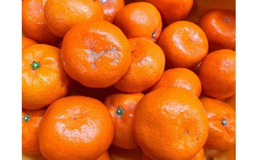 【ご家庭用訳アリ】初夏のみかん なつみ7.5kg　※2027年4月中旬頃～2027年4月末頃に順次発送予定(お届け日指定不可)【uot733A】