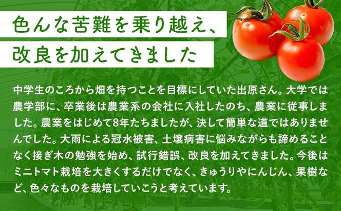ミニトマト 約2kg 出原農園 《1月上旬-5月末頃出荷》 岡山県 矢掛町 野菜 ミニトマト もぎたて 新鮮---osy_iktmt_af15_24_14000_2---