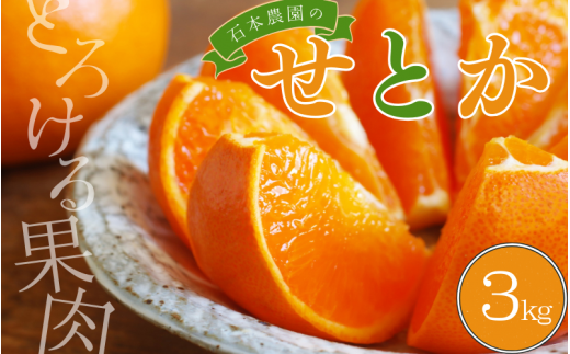 みかん せとか 石本農園の ハウスせとか 約3kg (2L or 3L 9玉〜12玉)[2026年2月中旬から下旬に順次発送] / せとか みかん ミカン 蜜柑 柑橘 果物 くだもの フルーツ 予約 人気 ジューシー 甘い[mis007A]