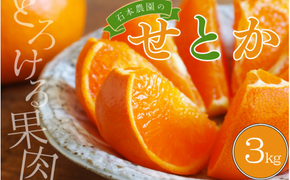 みかん せとか 石本農園の ハウスせとか 約3kg (2L or 3L 9玉～12玉)【2026年2月中旬から下旬に順次発送】 / せとか みかん ミカン 蜜柑 柑橘 果物 くだもの フルーツ 予約 人気 ジューシー 甘い【mis007A】