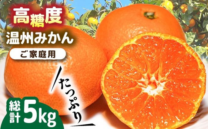 【2024年11月下旬〜発送】【高糖度】 温州みかん 約5kg / みかん 南島原市 / 南島原果物屋 [SCV011]