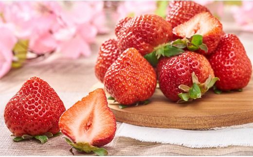 【春】福岡産 あまおう いちご 約250g×4パック 【2027年2月上旬～3月下旬発送予定】 大粒 