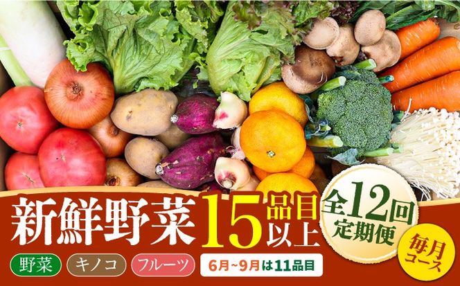 y茧쓇szy12ցz؁I Zbg 15iڈȏ 12  /  t[c ̂ lߍ킹 쓇s / g [SCZ019]