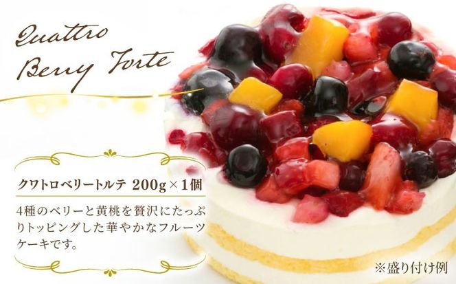 ベイクドチーズ / マロンモンブラン / クワトロベリートルテ ケーキ 3種17個 冷凍 糸島市 / 五洋食品産業 [AQD024] お祝い バースデー クリスマス 誕生日ケーキ 冷凍ケーキ 詰め合わせ