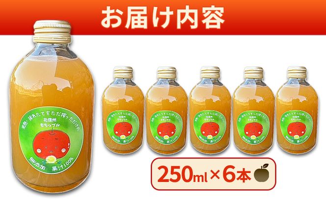 もちっプルのりんごジュース 果汁100% 250ml×6本 りんごジュース ジュース 飲料 100%果汁 サンふじ 山ノ内町 もっちーの畑