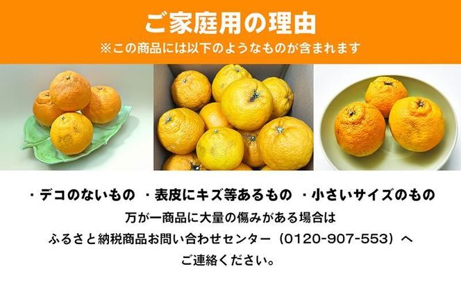 ご家庭用しらぬひ 約３kg デコポン フルーツ 果物類 みかん 柑橘類 