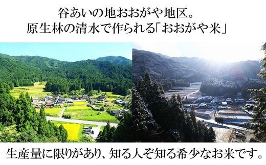 白米 10kg 令和6年産 コシヒカリ 岡山 「おおがや米」生産組合