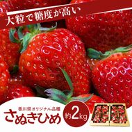 いちご さぬきひめ 香川県オリジナル品種 2kg 大粒 高糖度 贈答用 ギフト プレゼント 手土産 お祝い デザート スイーツ 苺 さぬき姫 ストロベリー フルーツ 果物 くだもの 冷蔵 五色青果 香川県 東かがわ市 46312083
