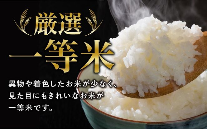 【令和7年産】 ひとめぼれ 1～10kg お米 一等米 白米 精米したてを発送 贈答 米 コメ ご飯 単一米 精米 生活応援 福島県 田村市 ももいろファーム