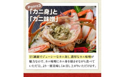 【蟹の匠 魚政】茹で　プレミアムズワイガニ 魚政BLACK（松葉ガニ・越前ガニ）特撰 大サイズ（1000～1100g） 2匹セット(1月～3月発送） 松葉蟹 蟹 かに カニ ガニ がに ボイル 海産物 甲殻類 海の幸 まるごと　UO01307