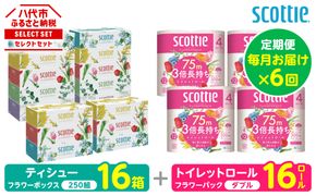 【定期便6回】【毎月お届け】【スコッティ】 組み合わせ ティシュー フラワーボックス 250組 16箱 計96箱 トイレットロール ダブル フラワーパック 3倍長持ち 16ロール 計96ロール ティッシュ トイレットペーパー 日用品 ストック 防災備蓄 ストック 備蓄 新生活 防災 消耗品 生活用品 日用消耗品 箱ティッシュ