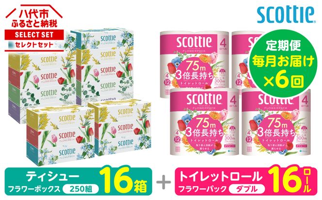 【定期便6回】【毎月お届け】【スコッティ】 組み合わせ ティシュー フラワーボックス 250組 16箱 計96箱 トイレットロール ダブル フラワーパック 3倍長持ち 16ロール 計96ロール ティッシュ トイレットペーパー 日用品 ストック 防災備蓄 ストック 備蓄 新生活 防災 消耗品 生活用品 日用消耗品 箱ティッシュ