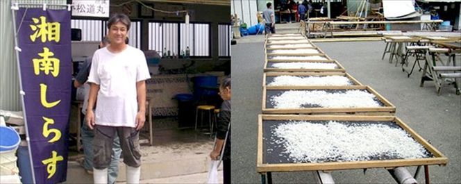 159-2049-04　湘南大磯しらす網元 松道丸・釜揚げしらす 3パック 600g （200g×3）【 しらす 魚介類 海鮮 惣菜 おかず ギフト 簡単調理 冷凍配送 送料無料 神奈川県 大磯町】