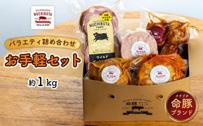 デリカテッセンヌチブタ　バラエティ詰め合わせ【お手軽セット】約1kg NUCHIBUTA 豚肉 加工品 ハンバーグ ポーク 詰め合わせ バラエティ おつまみ おかず 肉 猪豚 グルメ 手作り アウトドア バーベキュー キャンプ飯 冷凍 国産 沖縄県産 沖縄市