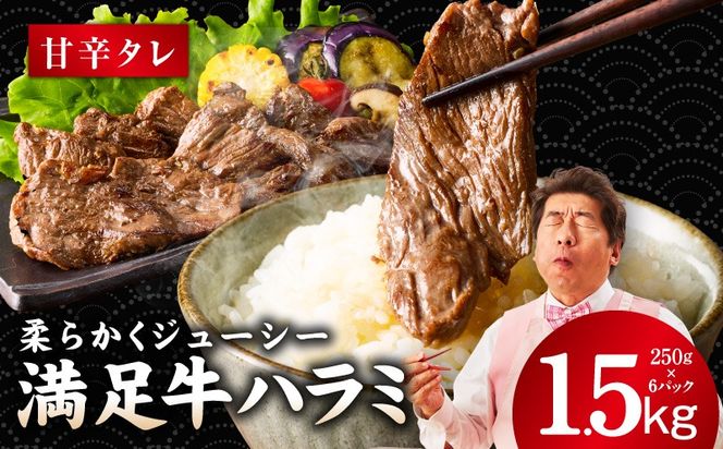 y{򍲖szG3368 yn~zÐh^Ђ v1.5kg yt n~  Ă ȒP BBQ  250g×6Pz
