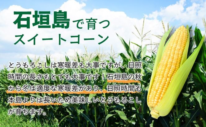 【先行予約2025年12月-2026年4月】 1番遅くて1番早い！？  朝採れプレミアムスイートコーンを皮付きのまま15本お届け！！