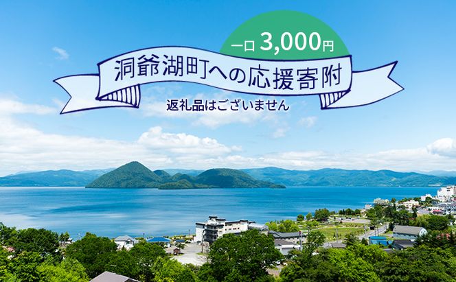 洞爺湖町 寄附のみの応援受付 3,000円コース（返礼品なし 寄附のみ 3000円） 支援 自治体支援 お礼の品なし 北海道 洞爺湖町の発展 ふるさと応援 ふるさと支援 