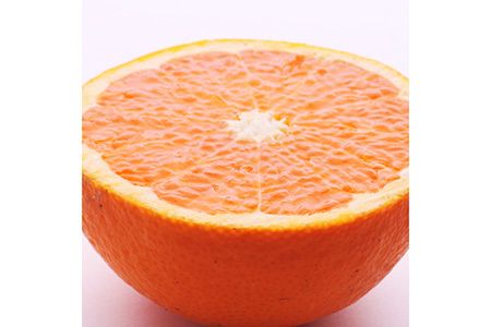 ＜2月より発送＞厳選 清見オレンジ7.5kg+250g（傷み補償分）【光センサー食頃出荷】【樹上完熟きよみオレンジ・清見タンゴール・清美】