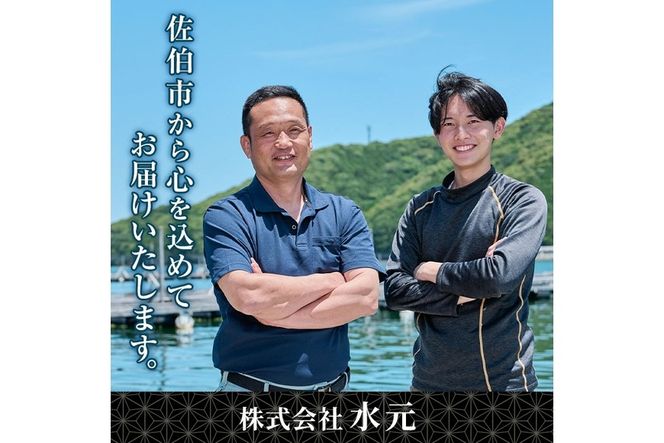 大分県産 ハマチ刺身セット (計400g・ハマチ100g×4皿、醤油ダレ30ml×4個) ハマチ 刺身 鮮魚 冷凍 養殖 国産 大分県 佐伯市【GO005】【(株)水元】