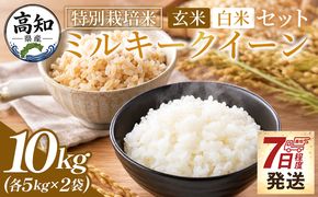 ミルキークイーン 玄米 白米 セット 計10ｋｇ 特別栽培米  令和８年産 - 国産 玄米 白米 ご飯 ごはん お米 こめ おにぎり おむすび 炊き込みご飯 食べ比べ 備蓄 防災 非常食 おいしい 美味しい 高知県 香南市 常温 sr-0017