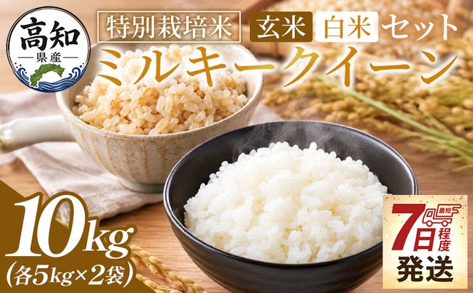 ミルキークイーン 玄米 白米 セット 計10ｋｇ 特別栽培米  令和８年産 - 国産 玄米 白米 ご飯 ごはん お米 こめ おにぎり おむすび 炊き込みご飯 食べ比べ 備蓄 防災 非常食 おいしい 美味しい 高知県 香南市 常温 sr-0017