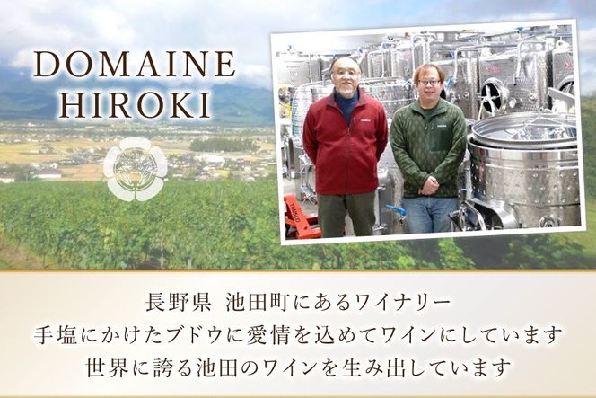 定期便 ロゼワイン メルロー ロゼ 750ml 12回 計 12本 [ヴィニョブル安曇野 長野県 池田町 48110758] ギフト ワイン