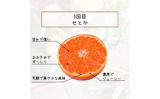 【全3回定期便】みかんの地和歌山から厳選してお届け！　人気の柑橘定期便/みかん 柑橘 果物 フルーツ 定期便 温州 ミカン 不知火 でこぽん せとか オレンジ 【tkb606】