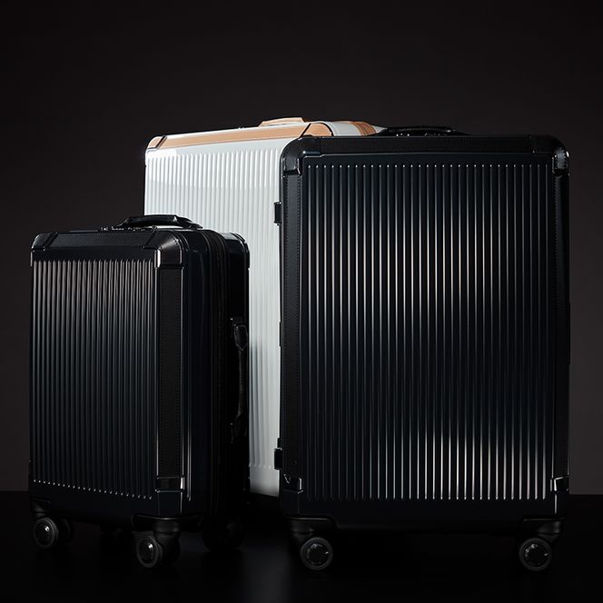 PRESTY 48 TR 02431 (02 ガンメタリック) スーツケース 国産 日本製 34L キャリー バッグ 機内持ち込み 双輪 キャスターストッパー 出張 短期旅行 PROTECA 北海道 赤平市